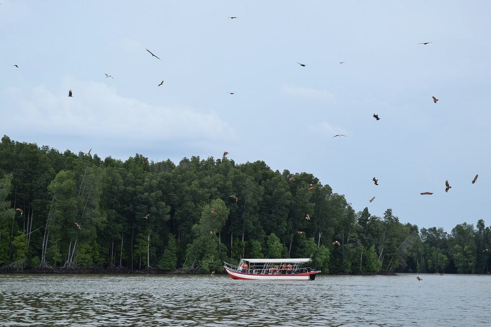Matang Mangrove