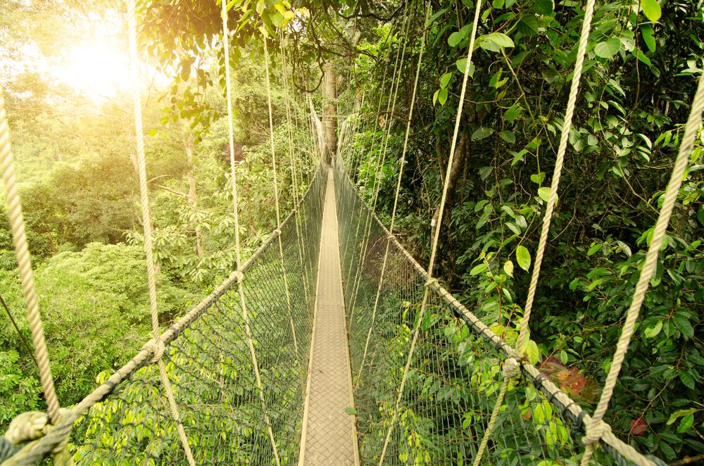 Taman Negara