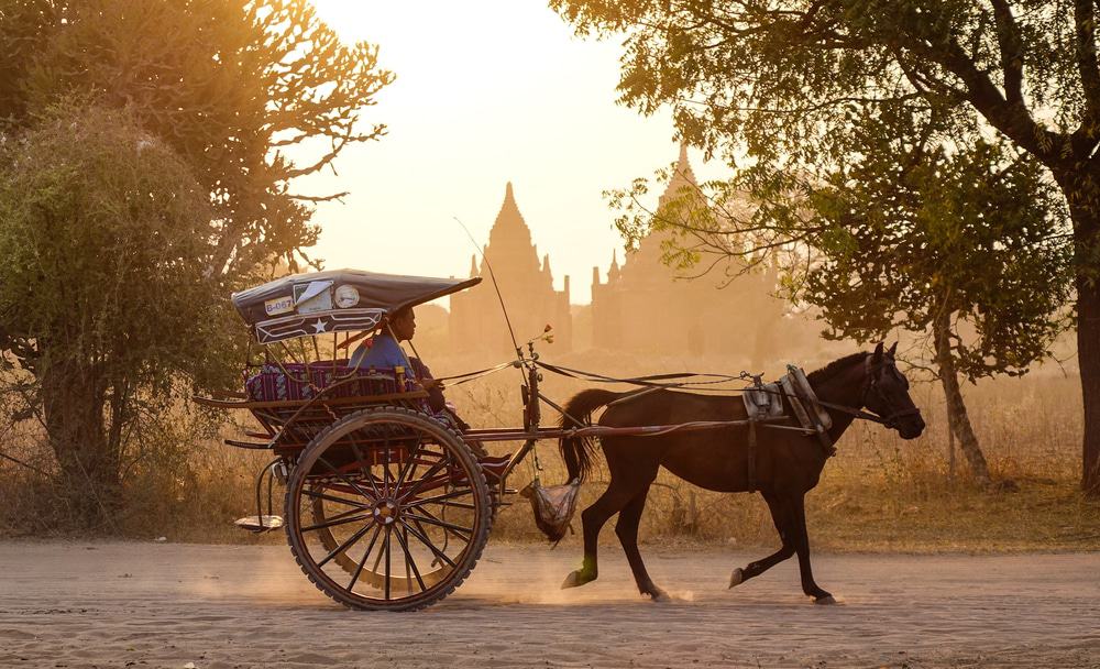 Horse Cart Myanmar