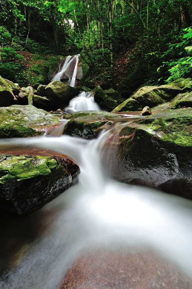 Kinabalu Park