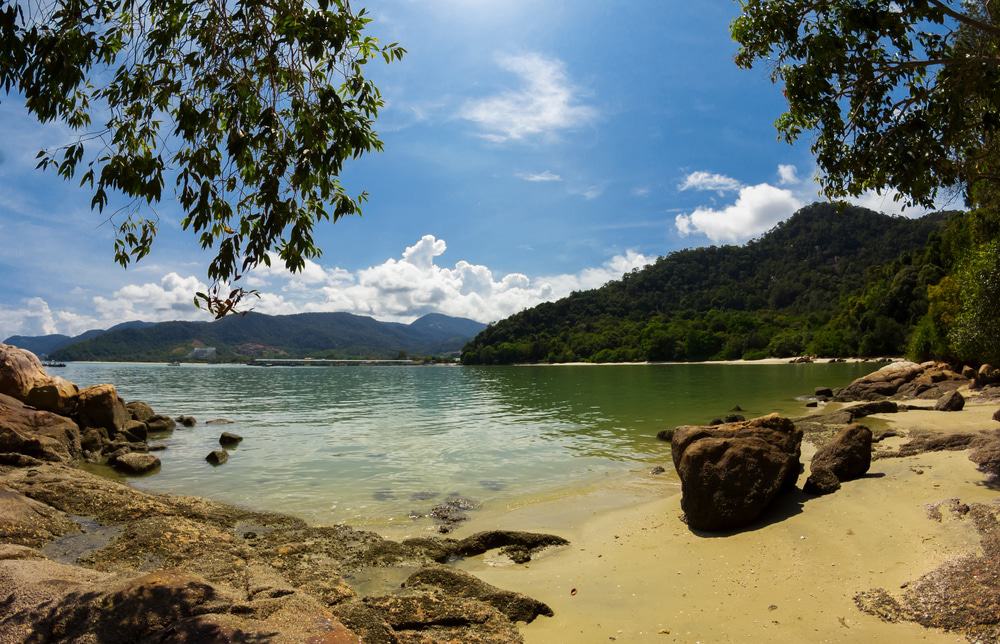 Penang National Park