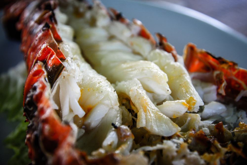 Myanmar Seafood Lobster