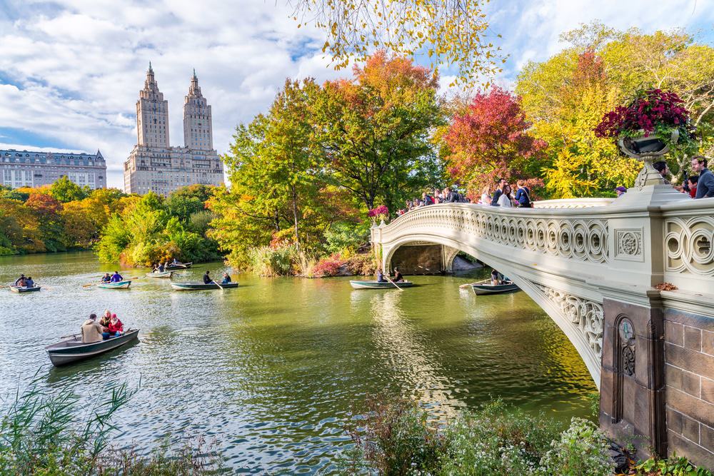Central Park, NYC
