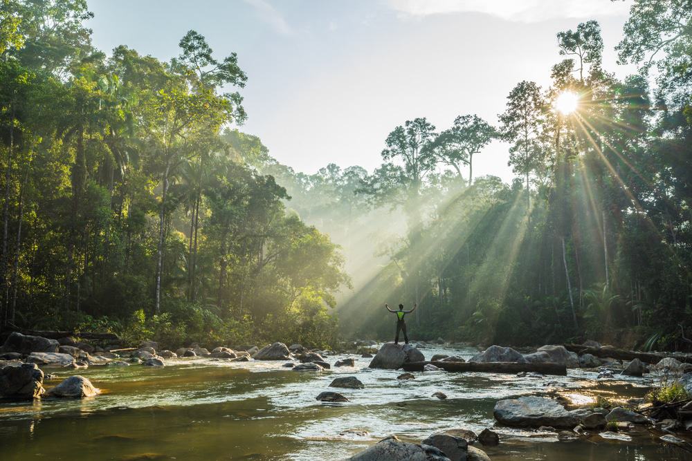 Endau-Rompin National Park