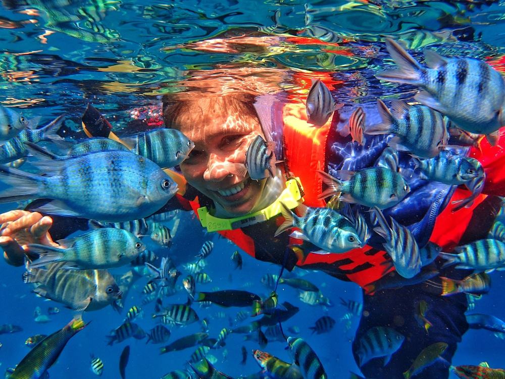 Redang Island Snorkeling