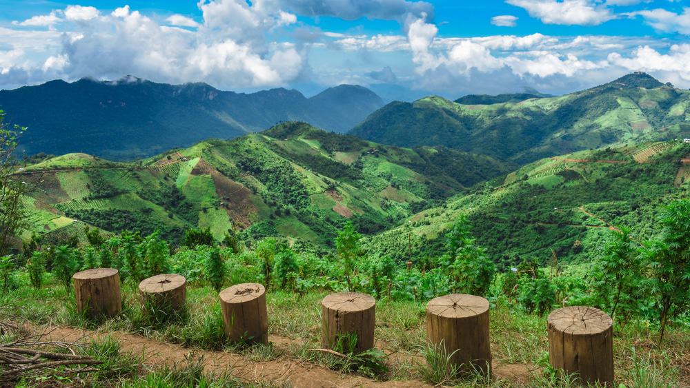 Kalaw Viewpoint