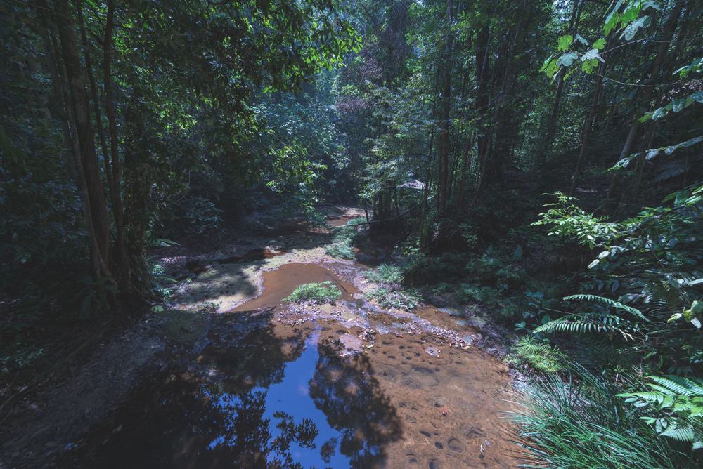 Lambir Hills National Park