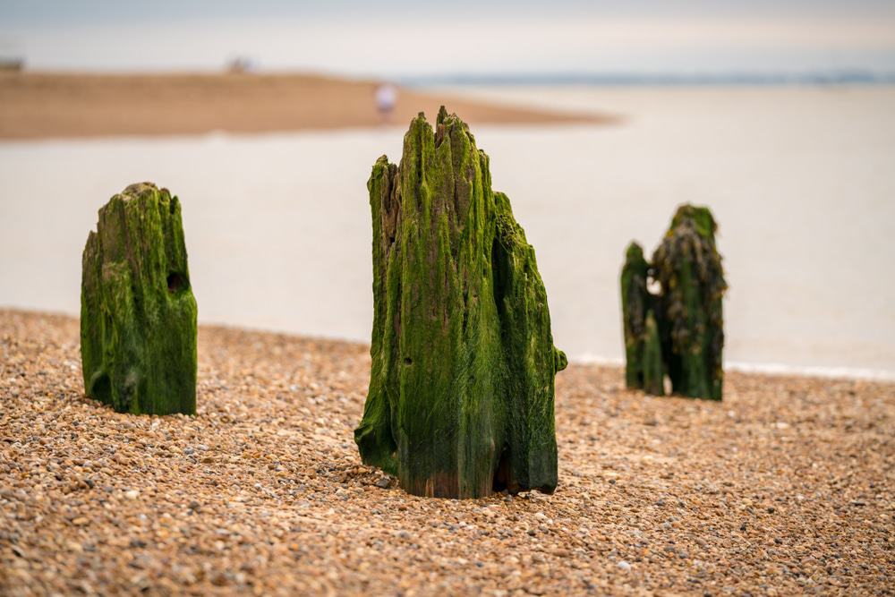 Felixstowe South Beach