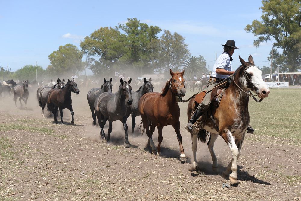 Gaucho Ranch, Buenos Aires, Argentina