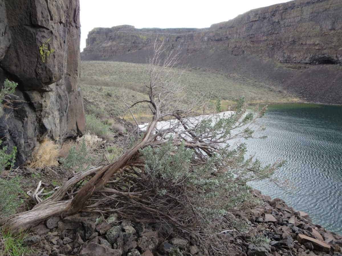 Blue Lake Rhino Cave Coulee City