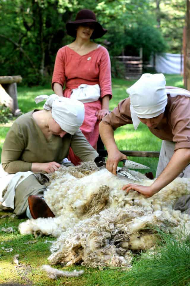 Camlann Village Carnation