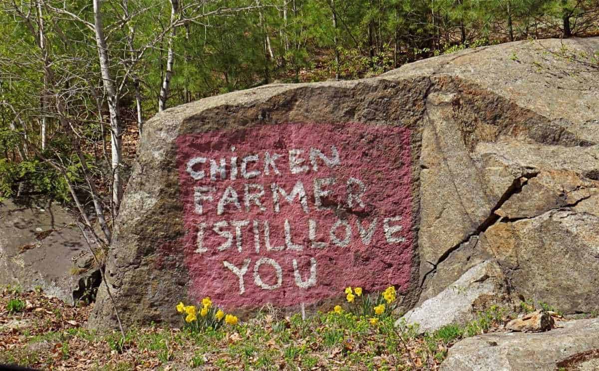 Chicken Farmer Rock, Newbury