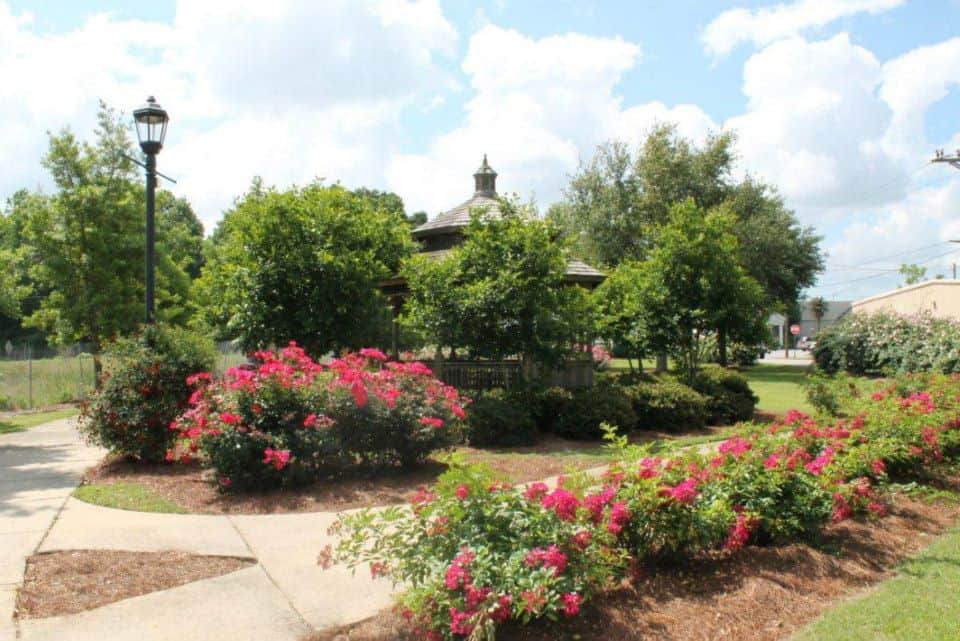 City Of Foley Antique Rose Trail