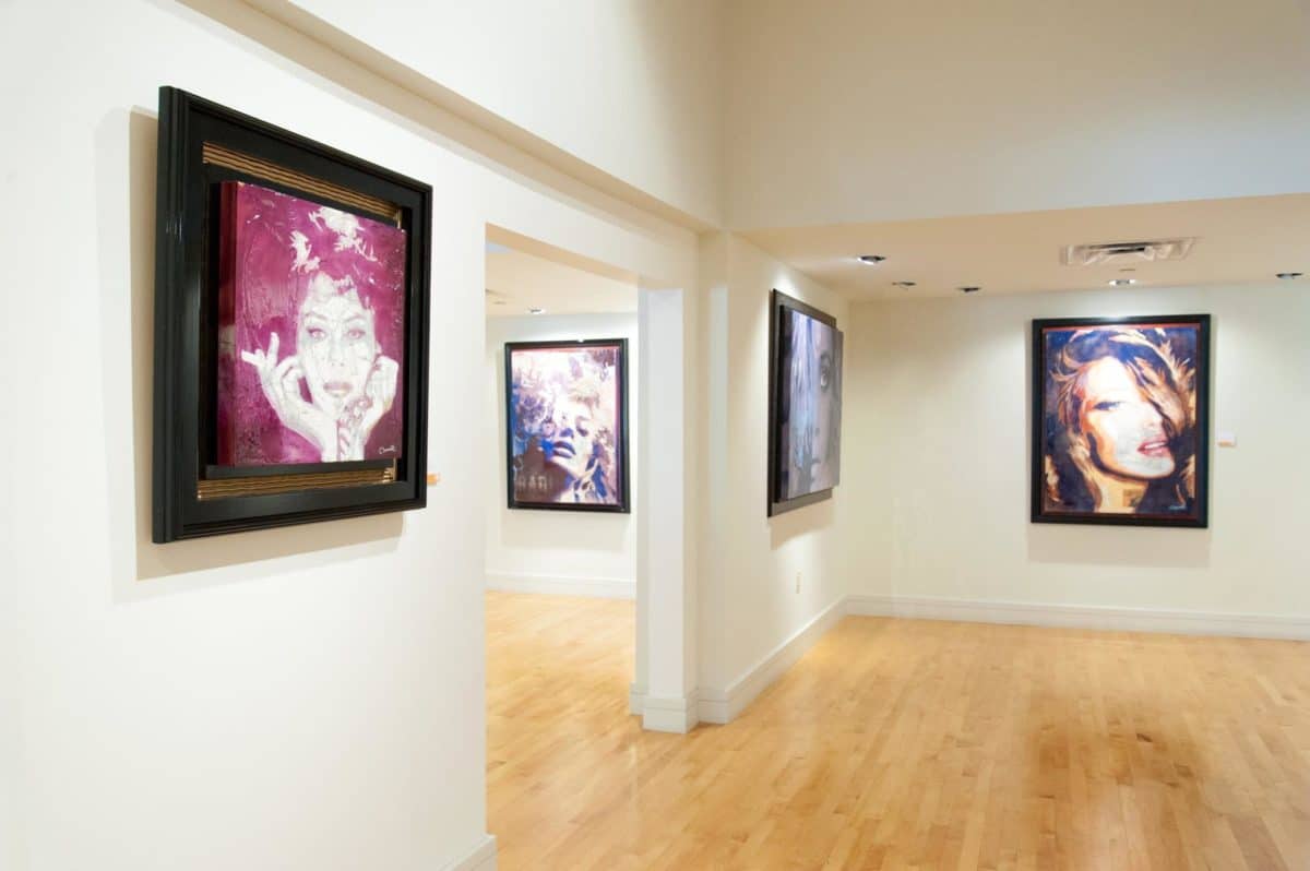 Coral Springs Museum Of Art