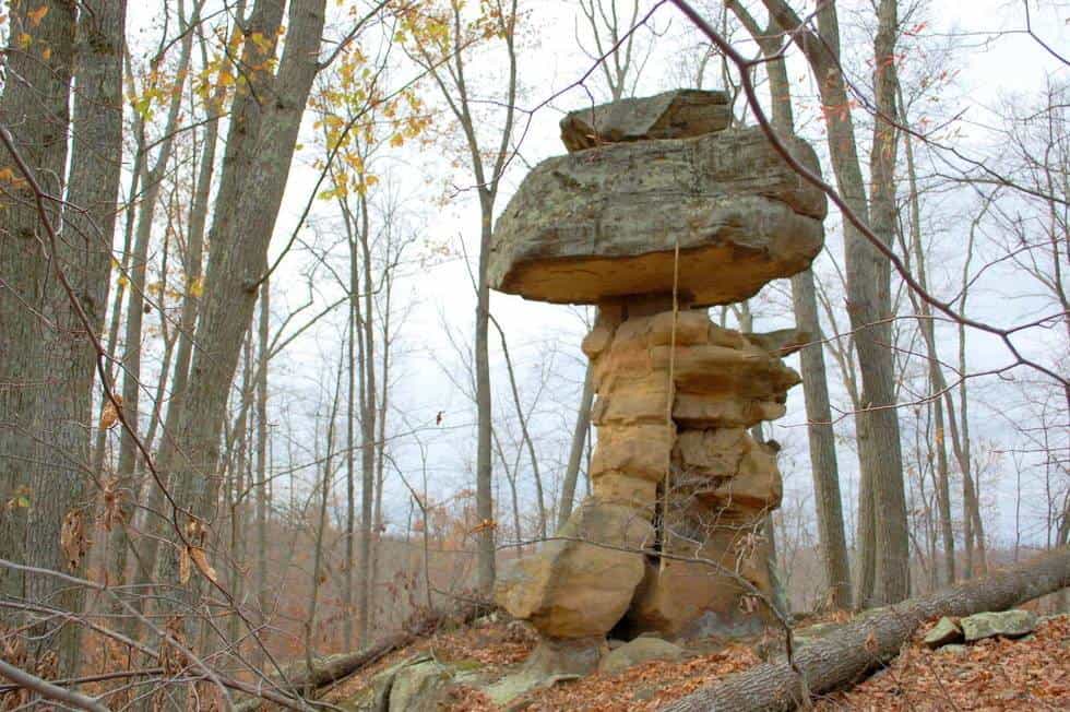 Curious Rock, Spencer