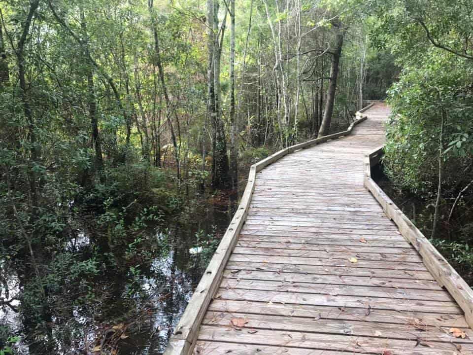 Graham Swamp Preserve