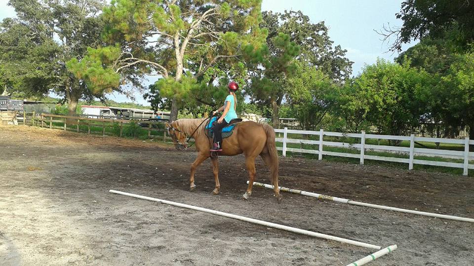Happy Pony World, Davie