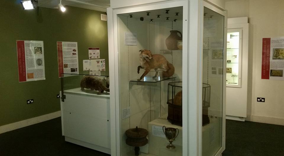 Hertford Museum