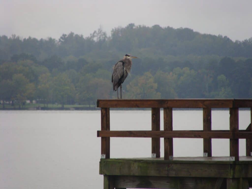 Jackson County Park, Scottsboro