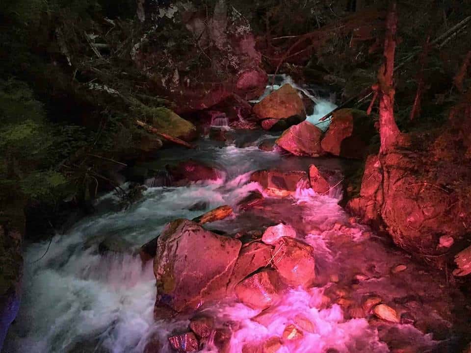 Ladder Creek Falls And Gardens Marblemount