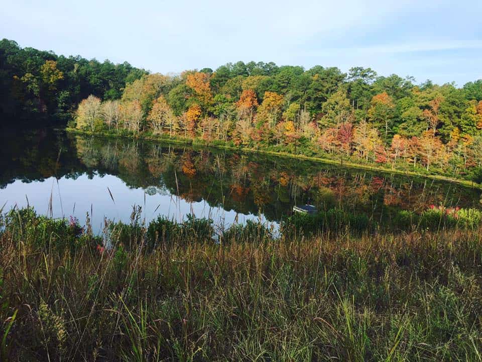 Lake Howard, Alabama