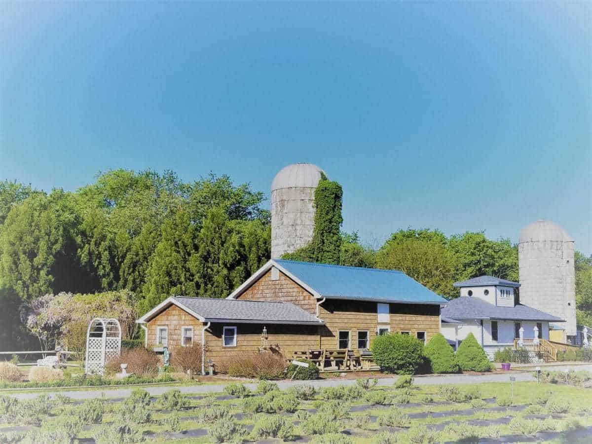 Lavender Fields Farm, Lewes