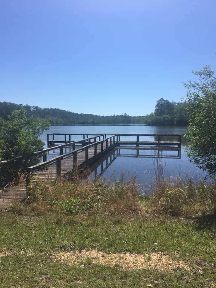 Little River State Forest, Alabama