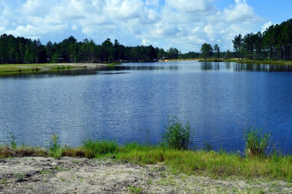 Magnolia Branch Wildlife Reserve