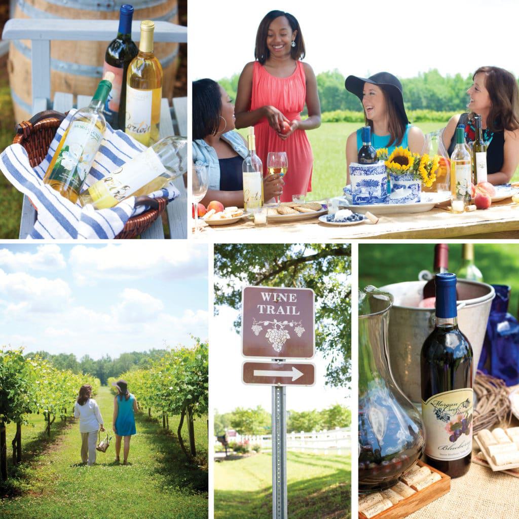 Morgan Creek Vineyards, Alabama