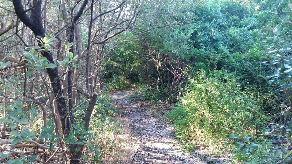 Mound Key State Park