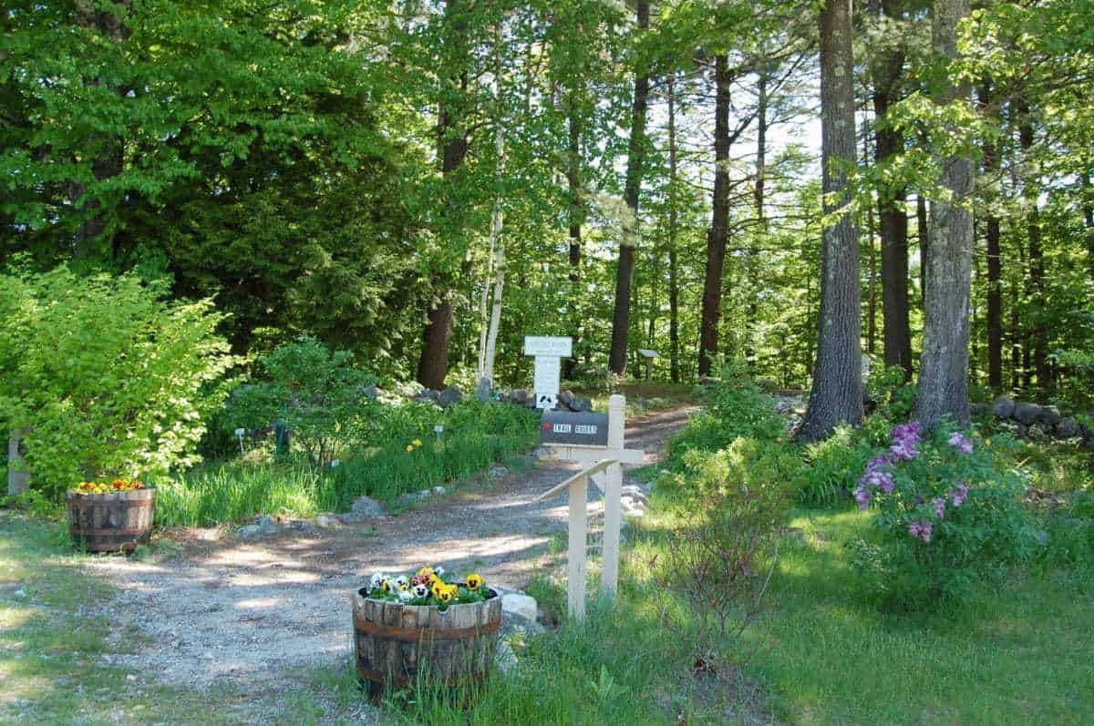 Mount Kearsarge Native American Indian Museum, Warner
