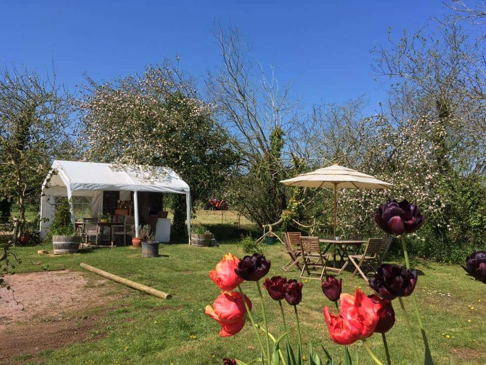 Oatley Vineyard