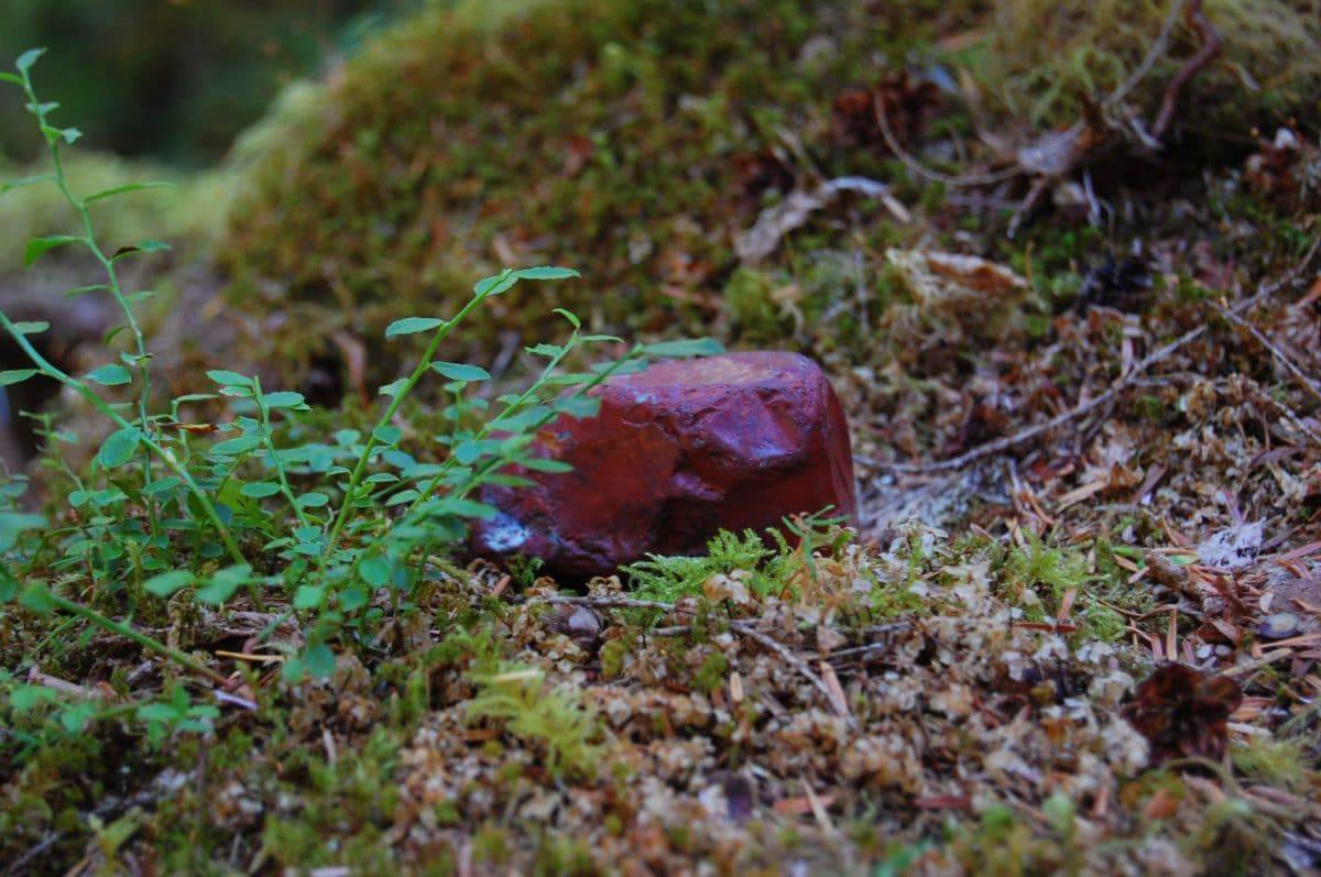 One Square Inch Of Silence Forks