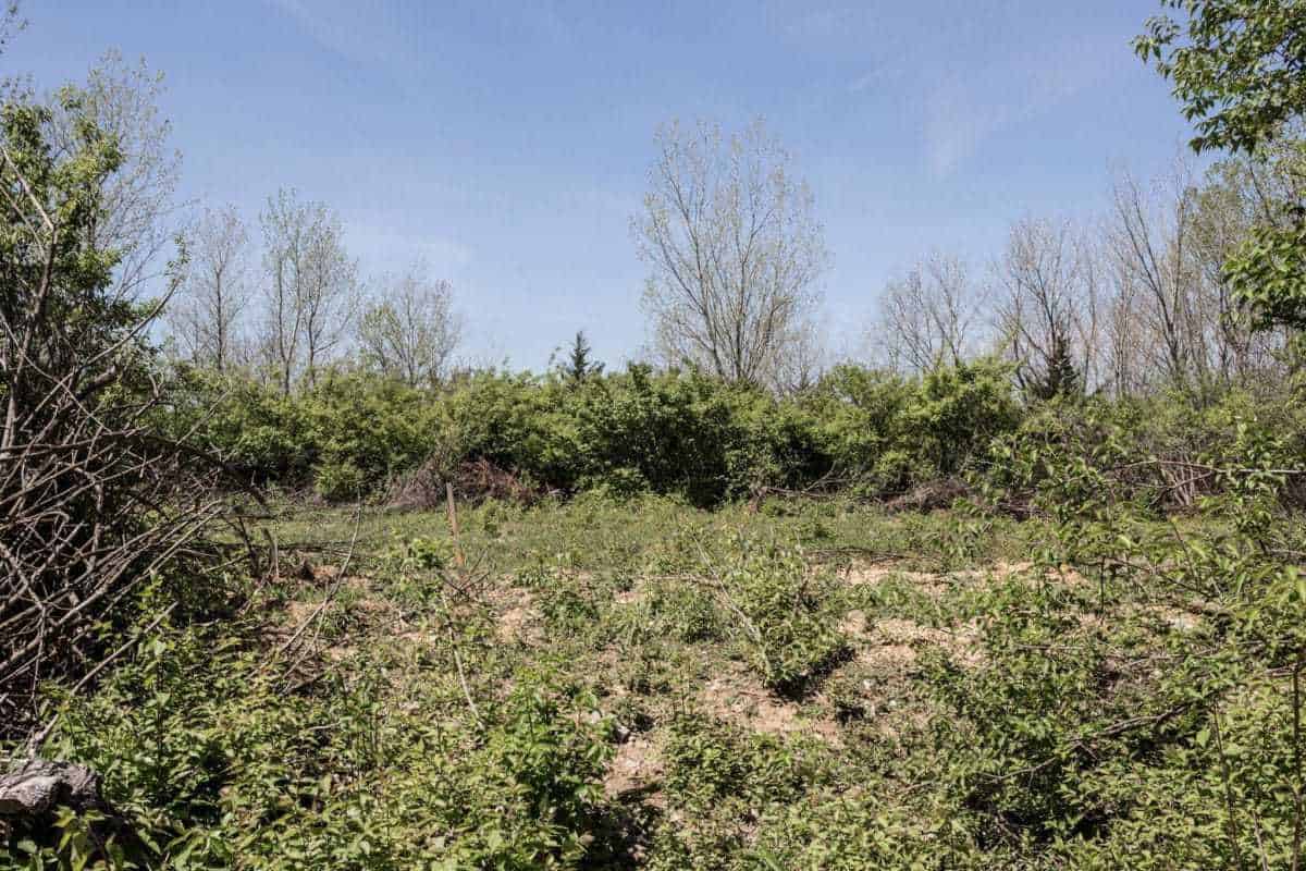 Pruitt-Igoe's Remains St. Louis