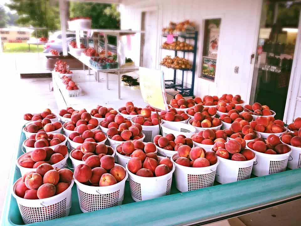 Reeve’s Peach Farm