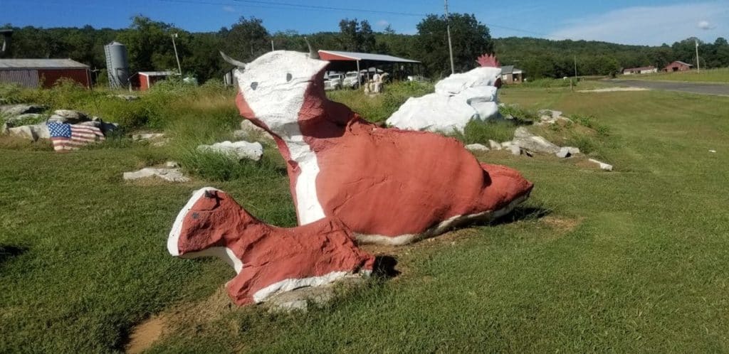 Rock Zoo, Fackler
