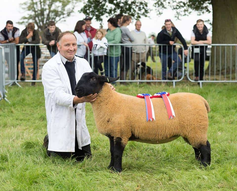 Ryedale Show