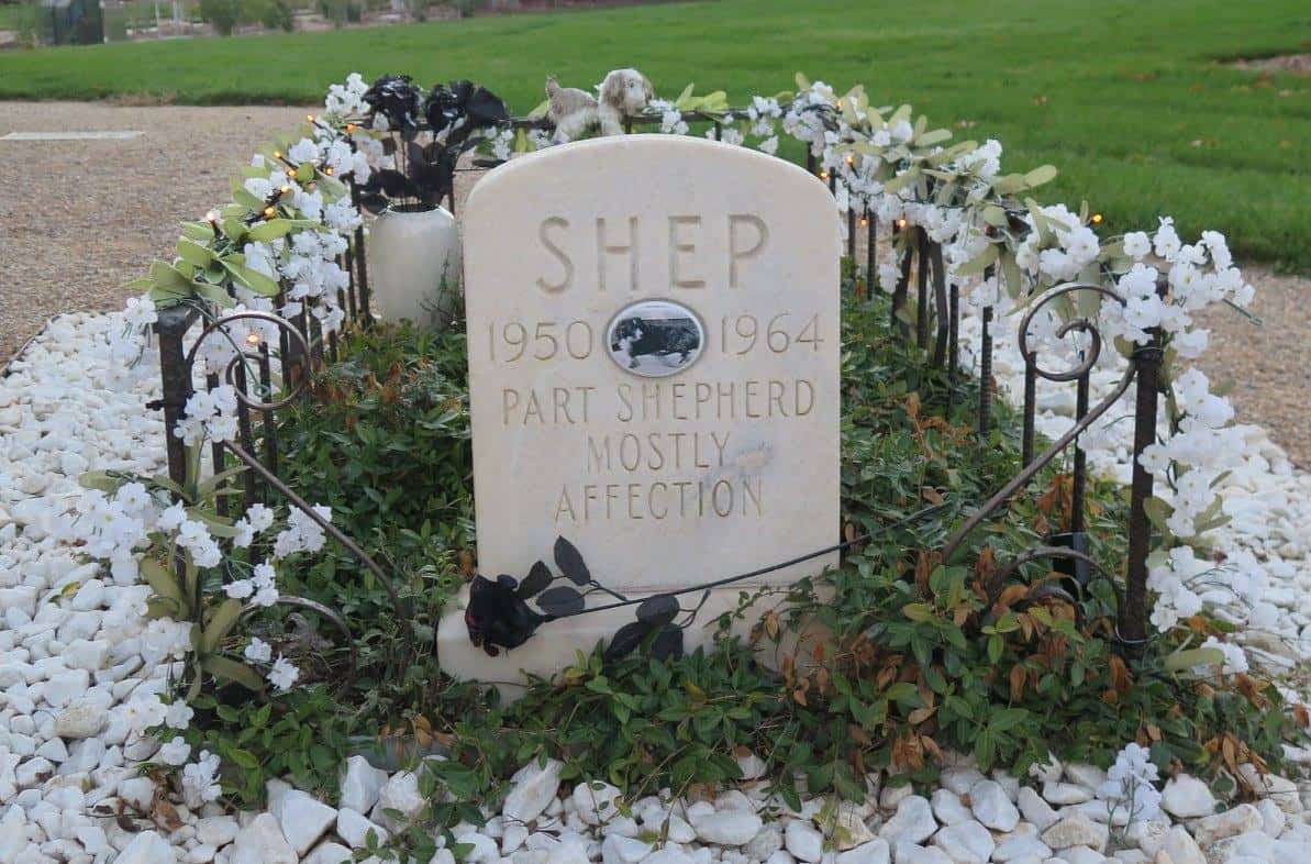 Shep The Broomfield Turnpike Dog, Broomfield