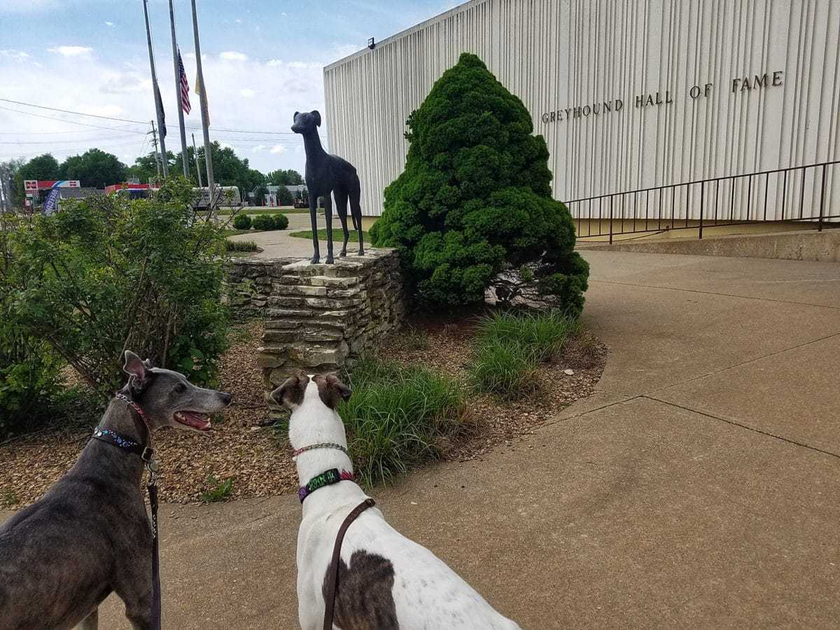 The Greyhound Hall Of Fame, Abilene