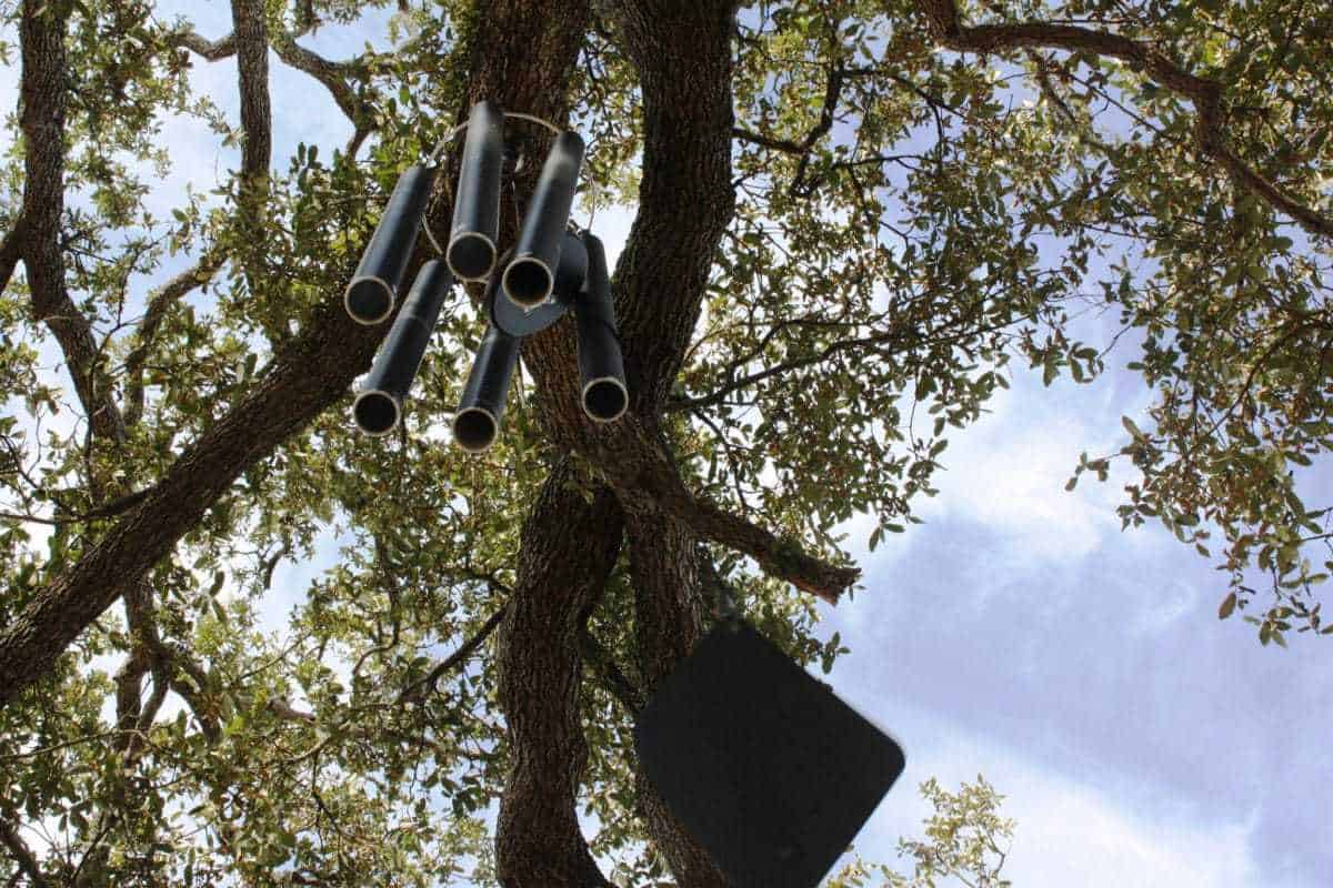 The Singing Oak, New Orleans