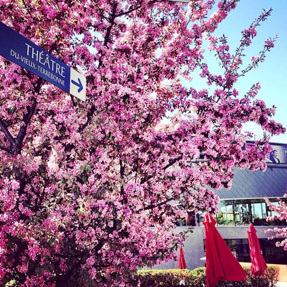 Théâtre Du Vieux-Terrebonne