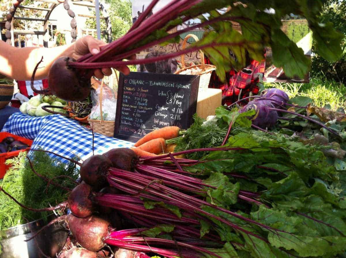 Tsawwassen Farmers Market