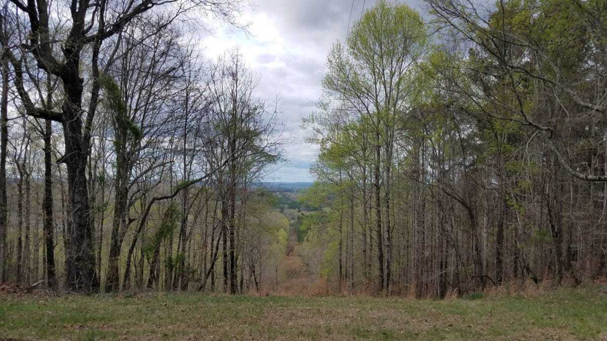 Woodall Mountain Iuka