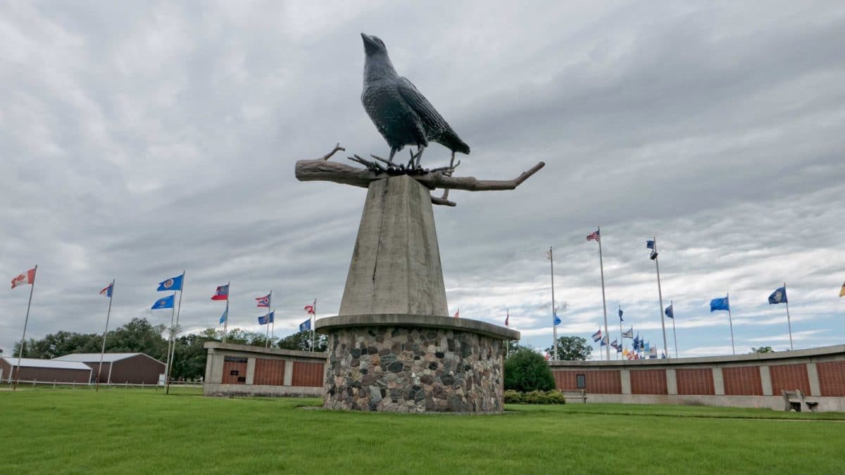 World's Largest Crow Belgrade