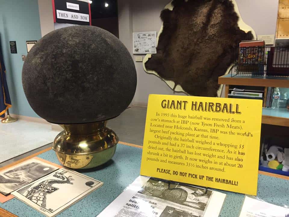 World's Largest Hairball, Garden City