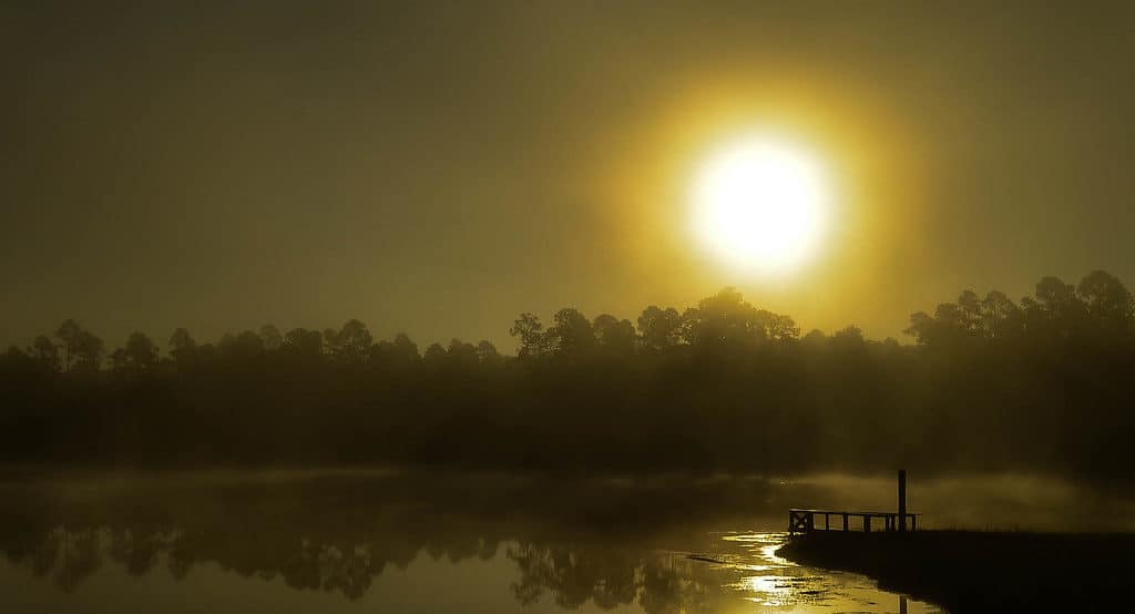 Lake Tuskegee