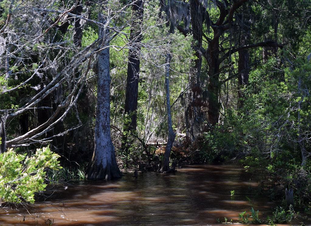 Village Point Park Preserve, Daphne
