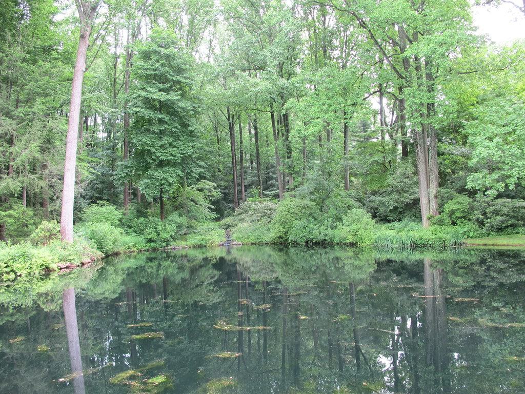 Mt. Cuba Center, Hockessin