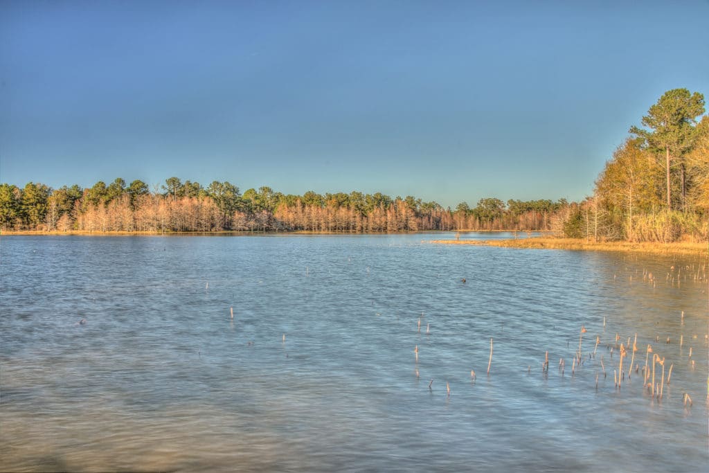 Lake Eufaula, Alabama