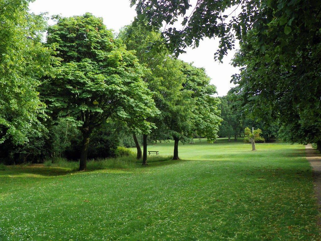 Norton Common